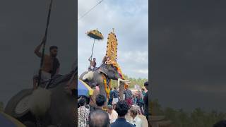 അവന്റെ ആ മാസ്സ് സീൻ😱🐘കണ്ട😱മോനെ #shortsfeed #shortvideos #shorts #viralshorts #pooram