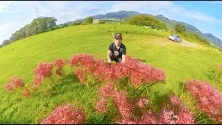 insta360one Bullet time 富士市かりがね堤〜彼岸花