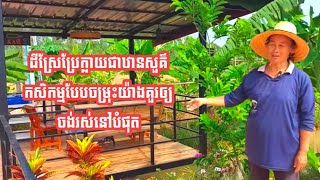 ដីស្រែប្រែក្លាយជាឋានសួគ៌ កសិកម្មបែបចម្រុះយ៉ាងគួរឲ្យចង់រស់នៅបំផុត