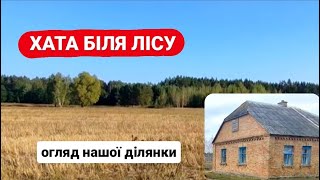 КУПИЛИ ХАТУ БІЛЯ ЛІСУ. Огляд ділянки. Регіон. Ціни лютий 2024