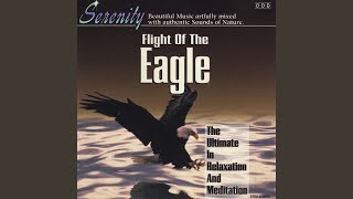 Flight of the Eagle