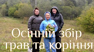 Осінній збір трав та коріння