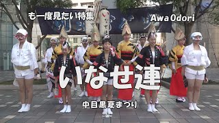 も一度見てみたい阿波踊り「いなせ連」中目黒夏まつり2019（2022.3.9）