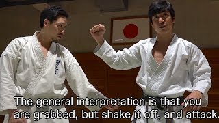 Break the enemy's posture in an instant by "Heian Shodan"! Amazing Karate "Kata"!