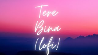 Tere Bina Lofi Remake- A. R. Rahman | Malhar_Music Flip | Indian LOFI | Bollywood LOFI