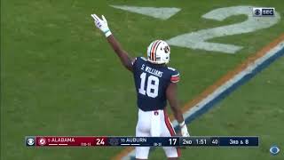 2019 Iron Bowl || The Hamster Dance|| Auburn Highlights