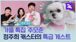 비오다갬, 가을 특집 '주모춘' 정주희 캐스터가 섭외한 특급 게스트는? ep.36 / SBS / 모바일24