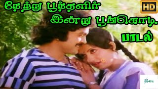 நேற்று பூந்தளிர் இன்று பூங்கொடி காற்றில் ஆடும் இரு காதல் || Netru Poodhalir || Love Duet H D Song