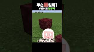 무슨 몹 일까?#11 #minecraft #마인크래프트 #vtuber