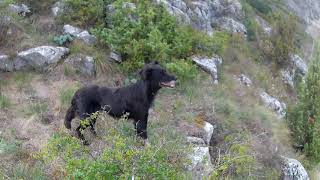 Pesacka staza Veliki Vrh - Vidikovac koji svi zaobilaze jer ne znaju da postoji