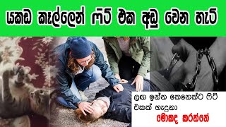 යකඩ vs ෆිට් එක | FIT එකක් හැදුන කෙනෙක්ට අපි මොකද කරන්නේ? | Fit eka gena Sinhalen