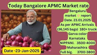 Onion Business Secrets: Strategies for Success in 2025 ಎರುಳ್ಳಿ ಕೃಷಿಯ ಲಾಭದಾಯಕತೆ