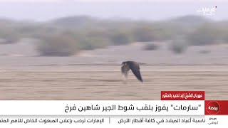 مهرجان الشيخ زايد الصيد بالصقور.. \