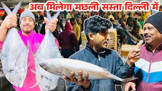 गाजीपुर मछली मार्केट दिल्ली 2025॥Ghazipur Fish Market In l || Wholesale and retail Fish market॥rrrm