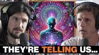 Top DMT Guru: Why Users See Alien Code in the DMT Space | Danny Goler