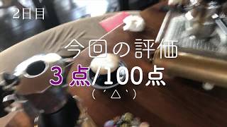 [DAY2] ラテアート訓練動画 latte practice  　マキネッタ