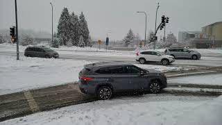 Seattle Snow 2021 Valentine's Day Bellevue Washington State 02/14/21