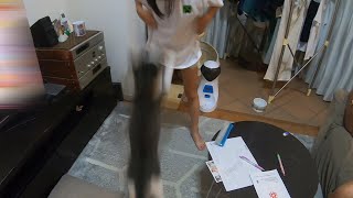 Jump towards your daughter! Cat attacking my daughter!【Rescued cat】