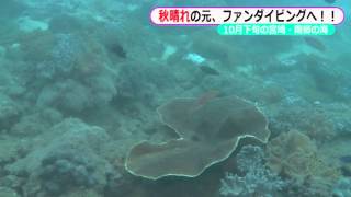 Scuba Diving IN 宮崎・南郷@2015 Oct.25～秋晴れの元、ファンダイビングへ！！