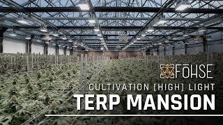 Inside Terp Mansion: FOHSE LED Grow Lights Boost Cannabis Yields in Humboldt, CA