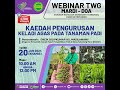 KAEDAH PENGURUSAN KELADI AGAS PADA TANAMAN PADI