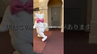 マリーちゃんお見送りの裏側…【ディズニー】