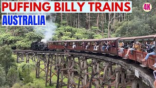 Puffing Billy Heritage Train Australia / 4K