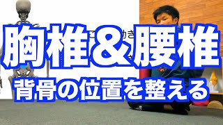 【ガチガチに背骨が固まっている人は必見】知らないと損する「背骨の豆知識」！「胸椎を起こす動き」「腰椎を丸める動き」ができれば背骨の悩みは解決する！【愛媛県松山市　ピラティス・整体】