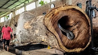 Sawyer’s Guide to Trembesi Wood Sawmilling in Chicago