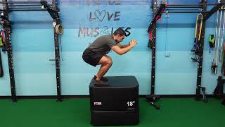 High Box Jump Technique