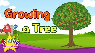 Growing a Tree - Kids vocabulary - Learn English for kids - English educational video