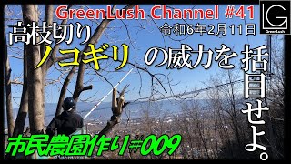 市民農園作り#009高枝切りノコギリの威力を括目せよ【GreenLush Channel#41 2024.02.11】