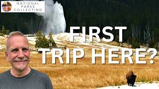 If You’re Visiting Yellowstone for the First Time, Watch This