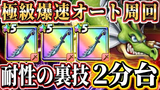 極級ドラゴンオート2分台周回！超耐性の裏を付け！回復を置いて3火力！動きはマヒで止める！攻略法を理論と討伐動画で完全解説！上級･超上級･極級の共通攻略法！ドラゴンクエストチャンピオンズ高難度6章