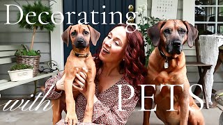 Exciting UPDATES in our home | Pet Friendly, Kid Friendly Decor