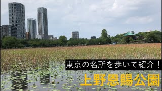 上野恩賜公園紹介！動物園や博物館も楽しめる都会の公園