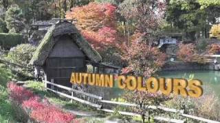 2019 Autumn colours in Japan, Toursgallery escorted tours.