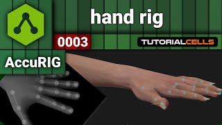 0003. hand rig in AccuRIG