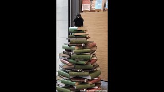 Oxford library creates a Christmas tree created from books! 📚