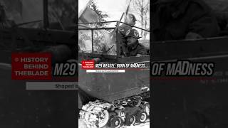 The M29 Weasel: A Machine Born of Madness