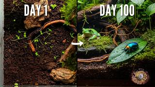 Simulating a Rainforest for 100 Days
