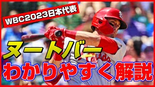 【解説】ヌートバーって何者？あの人物と意外な共通点も【WBC日本代表】