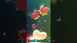 Good morning 💕|#love #youtubeshorts #flower #morning #status #ytshorts #shorts #short #tiktok