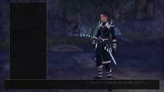 ESO: Stamblade 30k Dps Test_20190114113600