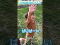 【トンボ】夏が終わり秋が来ます shorts トンボ＃昆虫