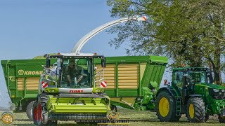 Ganzpflanzensilage (GPS) 2021Claas Jaguar 980 - 5 Häckselwagen Großeinsatz Roggen mähen \u0026 häckseln