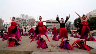 友ステーション踊り隊 さん　2017　九州がっ祭/火の国YOSAKOIまつり