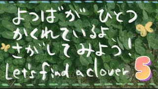 四葉はどこにあるのかな？その5　Let‘s find a clover！【part5】