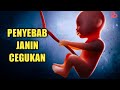 Penyebab Janin di Dalam Kandungan Cegukan