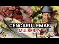 Jom Cuba Masak Ikan Cencaru Salai Bersama Buah Mulberry Pasti Enak Dan Menyelerakan